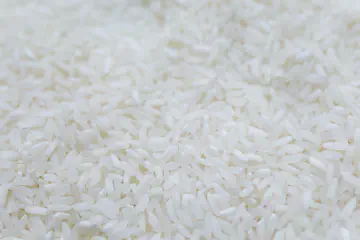 Ratio of Water to Rice in a Rice Cooker