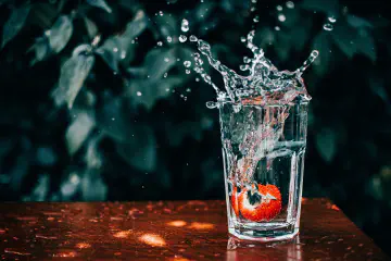 Sedimentation Water Treatment